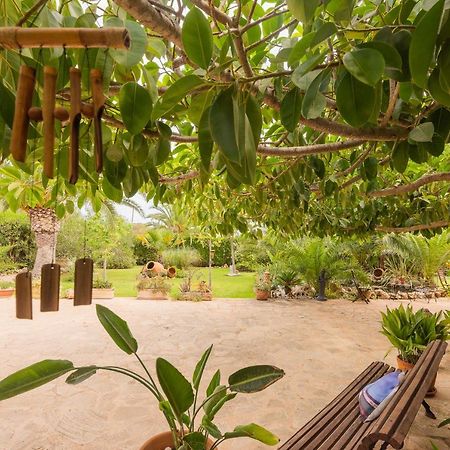 Villa Dolce Vita Puerto Colom Dış mekan fotoğraf